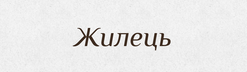 Жилець — Великий тлумачний словник сучасної української мови