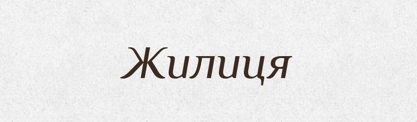 Жилиця — Великий тлумачний словник сучасної української мови