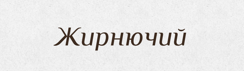 Жирнючий — Великий тлумачний словник сучасної української мови