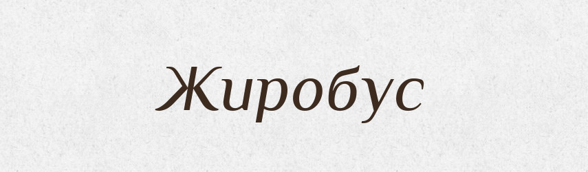 Жиробус — Великий тлумачний словник сучасної української мови