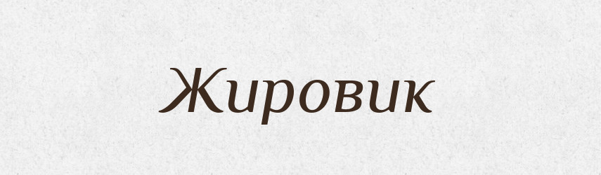 Жировик — Великий тлумачний словник сучасної української мови