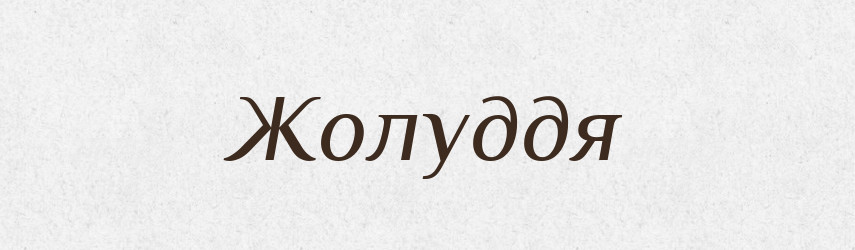 Жолуддя — Великий тлумачний словник сучасної української мови
