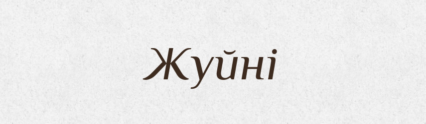 Жуйні — Великий тлумачний словник сучасної української мови