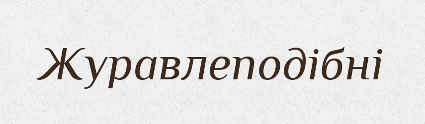 Журавлеподібні — Великий тлумачний словник сучасної української мови