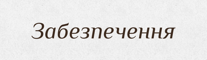 Забезпечення — Великий тлумачний словник сучасної української мови