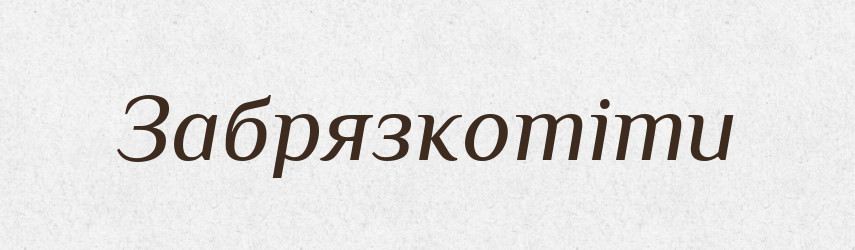 Забрязкотіти — Великий тлумачний словник сучасної української мови