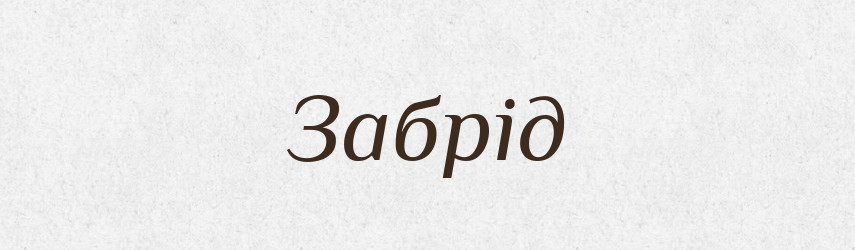 Забрід — Великий тлумачний словник сучасної української мови