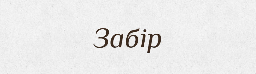 Забір — Великий тлумачний словник сучасної української мови