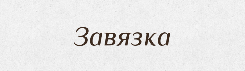 Завязка — Великий тлумачний словник сучасної української мови