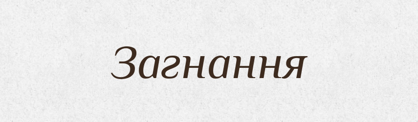 Загнання — Великий тлумачний словник сучасної української мови