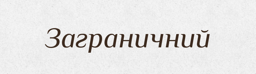 Заграничний — Великий тлумачний словник сучасної української мови