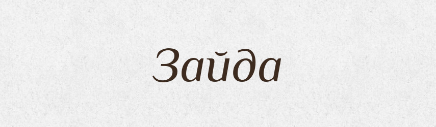 Зайда — Великий тлумачний словник сучасної української мови