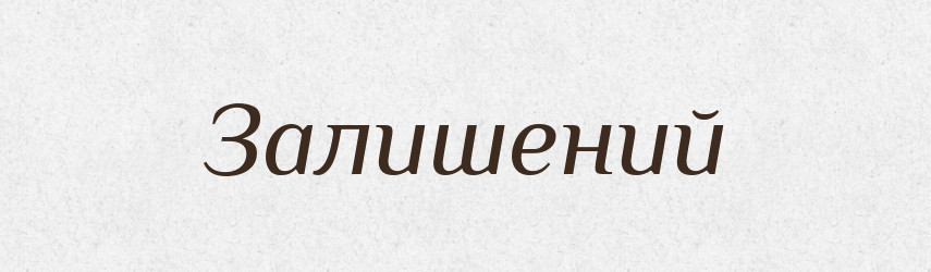 Залишений — Великий тлумачний словник сучасної української мови