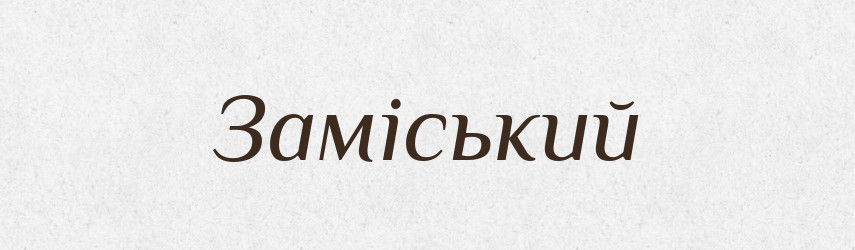 Заміський — Великий тлумачний словник сучасної української мови