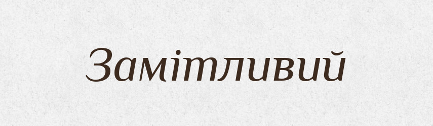 Замітливий — Великий тлумачний словник сучасної української мови