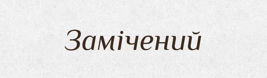 Замічений — Великий тлумачний словник сучасної української мови