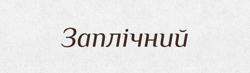 Заплічний — Великий тлумачний словник сучасної української мови