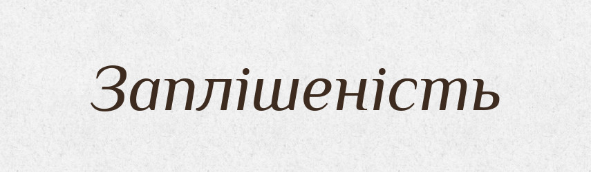 Заплішеність — Великий тлумачний словник сучасної української мови