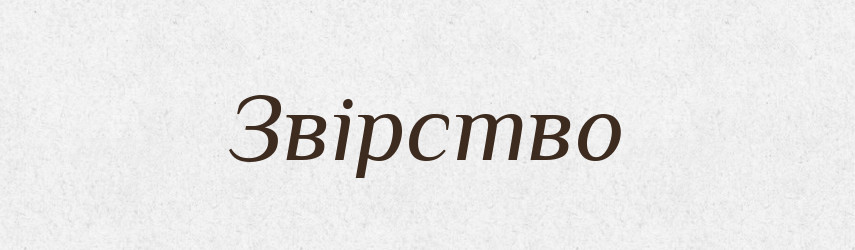 Звірство — Великий тлумачний словник сучасної української мови