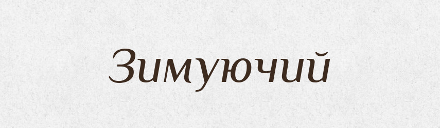 Зимуючий — Великий тлумачний словник сучасної української мови