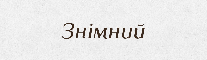 Знімний — Великий тлумачний словник сучасної української мови
