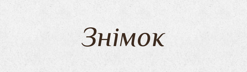 Знімок — Великий тлумачний словник сучасної української мови