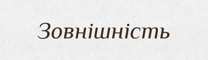 Зовнішність — Великий тлумачний словник сучасної української мови