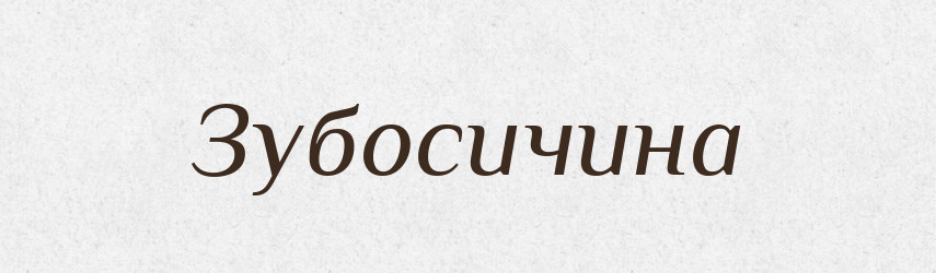 Зубосичина — Великий тлумачний словник сучасної української мови