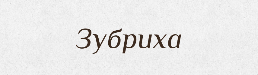 Зубриха — Великий тлумачний словник сучасної української мови