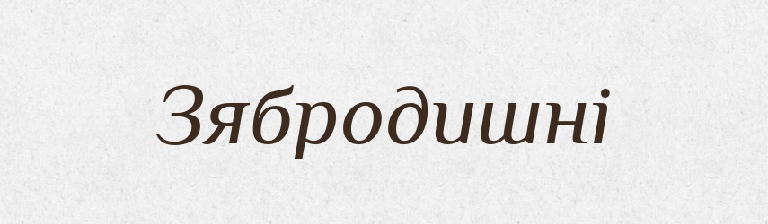 Зябродишні — Великий тлумачний словник сучасної української мови