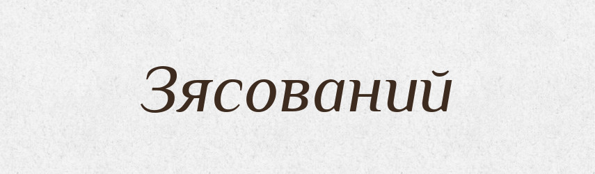 Зясований — Великий тлумачний словник сучасної української мови