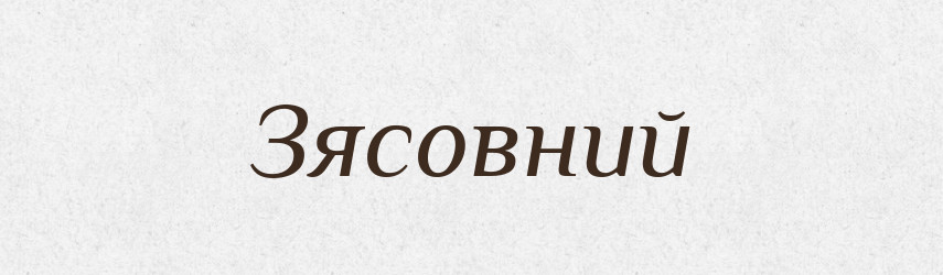 Зясовний — Великий тлумачний словник сучасної української мови