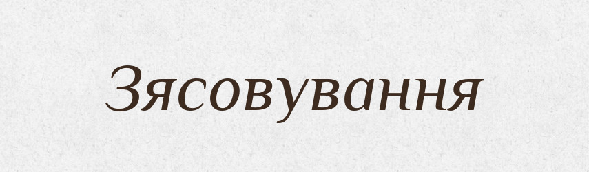 Зясовування — Великий тлумачний словник сучасної української мови