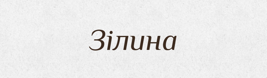 Зілина — Великий тлумачний словник сучасної української мови