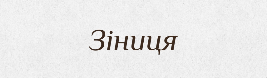 Зіниця — Великий тлумачний словник сучасної української мови