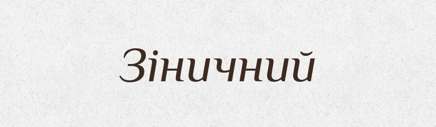 Зіничний — Великий тлумачний словник сучасної української мови