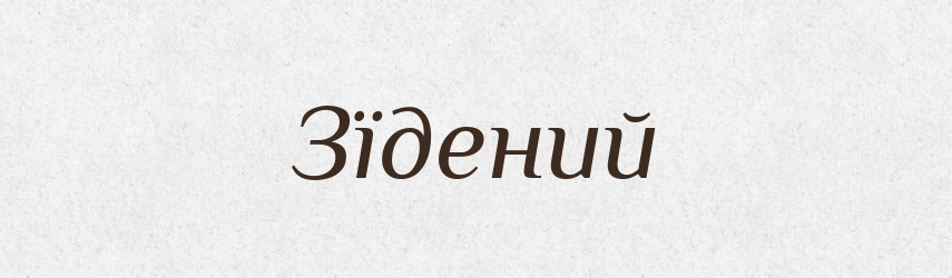 Зїдений — Великий тлумачний словник сучасної української мови