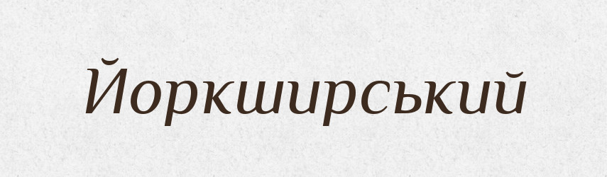 Йоркширський — Великий тлумачний словник сучасної української мови