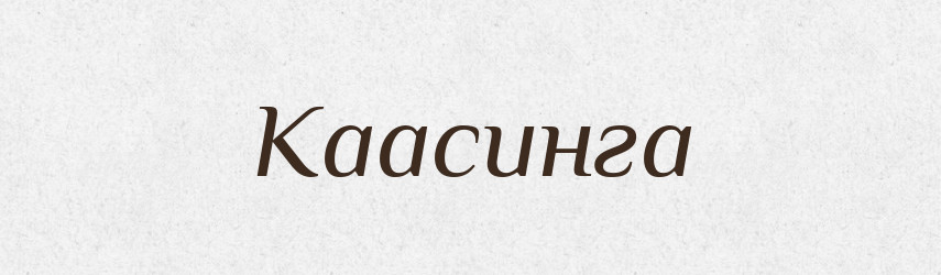 Каасинга — Великий тлумачний словник сучасної української мови