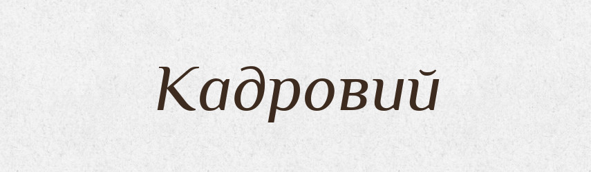 Кадровий — Великий тлумачний словник сучасної української мови