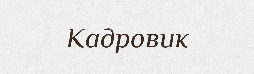 Кадровик — Великий тлумачний словник сучасної української мови