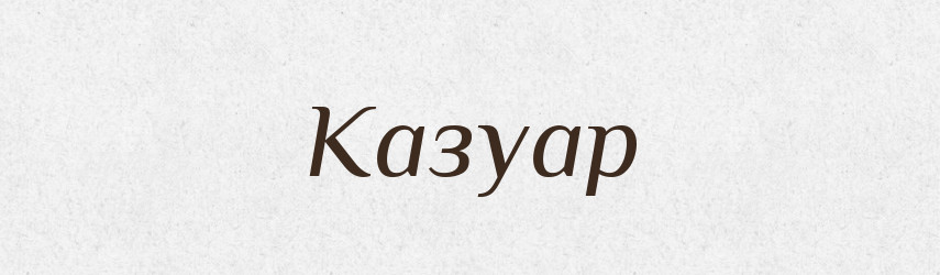 Казуар — Великий тлумачний словник сучасної української мови