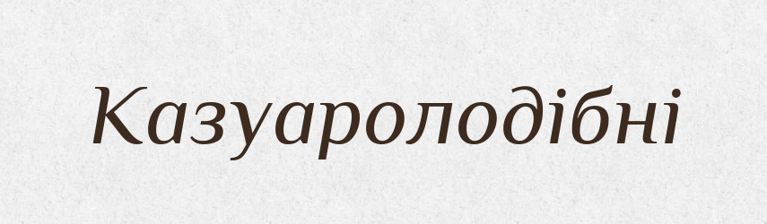Казуаролодібні — Великий тлумачний словник сучасної української мови