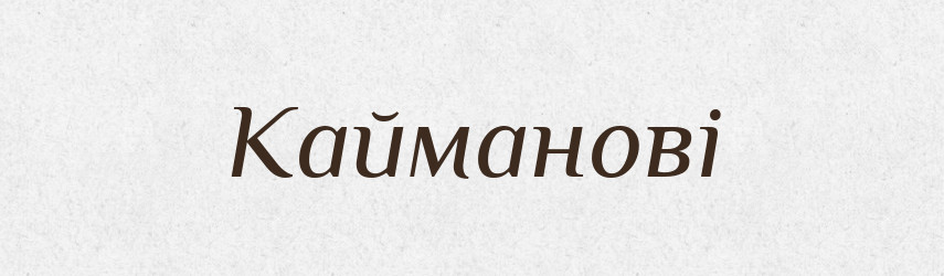 Кайманові — Великий тлумачний словник сучасної української мови