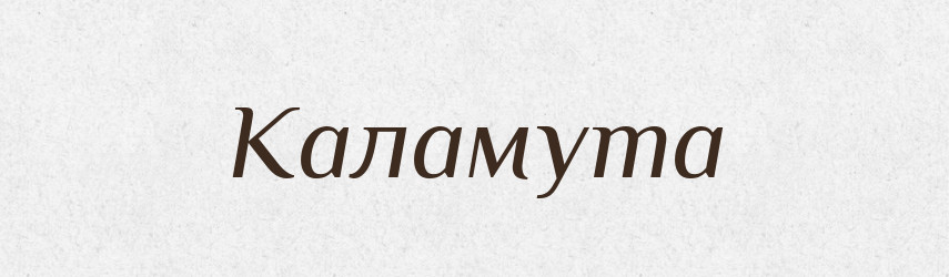 Каламута — Великий тлумачний словник сучасної української мови