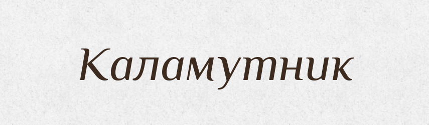 Каламутник — Великий тлумачний словник сучасної української мови