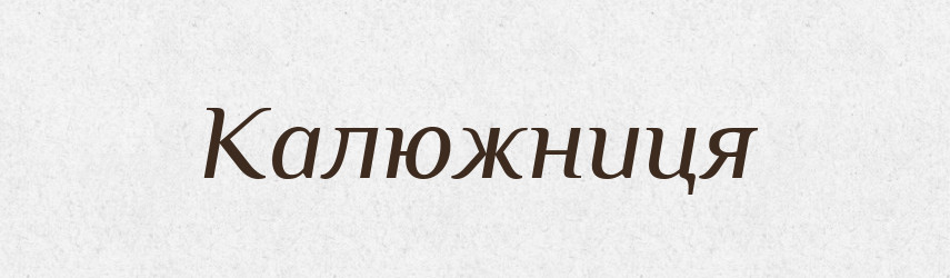 Калюжниця — Великий тлумачний словник сучасної української мови