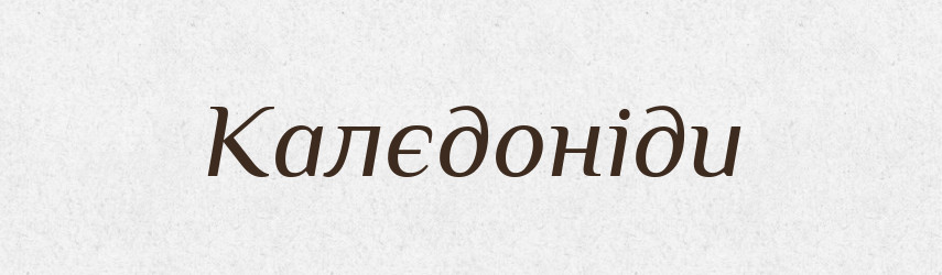 Калєдоніди — Великий тлумачний словник сучасної української мови