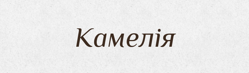 Камелія — Великий тлумачний словник сучасної української мови
