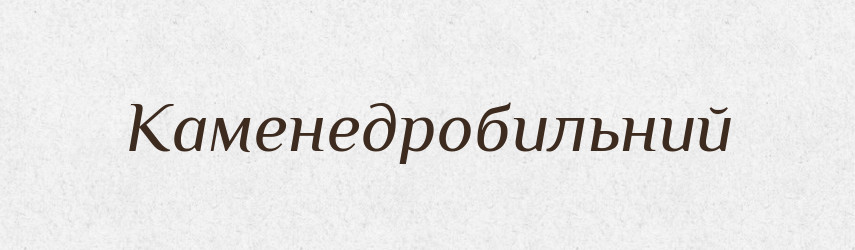 Каменедробильний — Великий тлумачний словник сучасної української мови